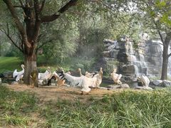 -北京野生动物园