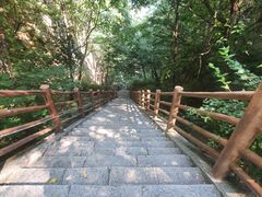 -尧山风景区