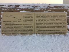 -汉长安城未央宫国家考古遗址公园