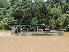 -热带雨林自然公园