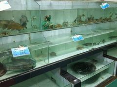-天鹰观渔(梦园店)