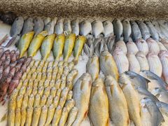 冷冻海鱼的柜台-温岭人家(红花北路店)