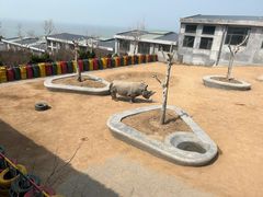 -西霞口神雕山野生动物世界