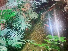 -聚缘堂·海鲜私房菜(松岭路店)