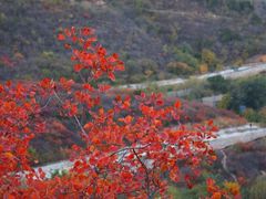 -北京西山国家森林公园