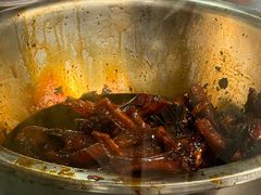 -福鼎褚翅