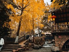 -黄龙溪古镇