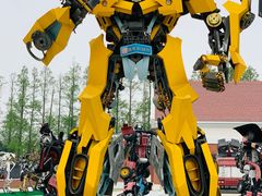 -上海长兴岛郊野公园