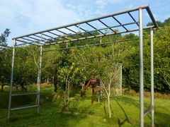 过天梯-缙云黄龙景区