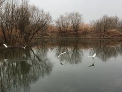 -新江湾城公园