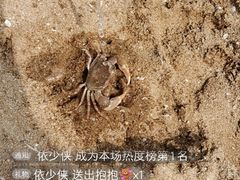 -东疆理想海岸沙滩景区