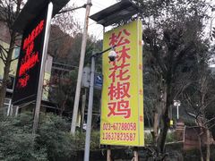 -铁山坪森林公园