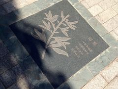 -广州神农草堂中医药博物馆