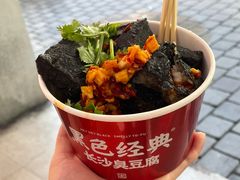 -黑色经典臭豆腐·湖南特产(坡子街店)
