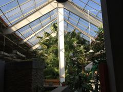 -红栌温泉山庄生态美食餐厅