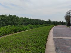 -深圳湾公园(南山区)