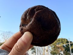 巧克力布朗尼曲奇-Strictly Cookies(延安西路店)