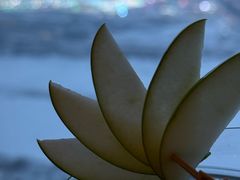 -大堂酒廊·富力丽思卡尔顿酒店