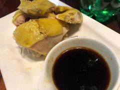 -四季春
