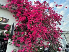 -大赤坎肥仔强烧味海鲜餐厅(大赤坎店)