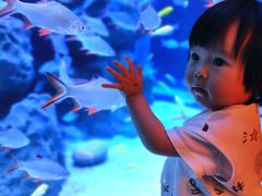 -成都浩海立方海洋公园