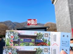 -阳台山自然风景区