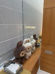 -HYOUNG 禾漾·BTL官方美学中心