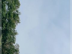 -石螺口海滩