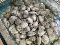 -海之鲜大排档(东山海鲜金銮湾店)