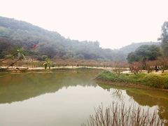 -南国桃园旅游度假区