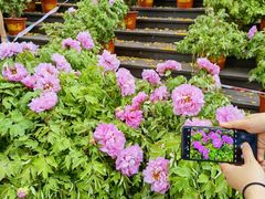 -广西壮族自治区药用植物园