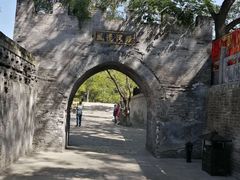 -大槐树寻根祭祖园
