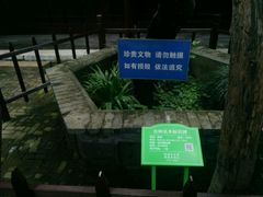 -水绘园