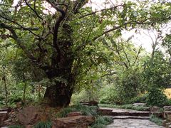 -兴福老面馆(寺路街店)