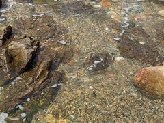 -西涌国际滨海旅游区