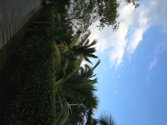铂尔曼度假酒店-三亚亚龙湾铂尔曼别墅度假酒店
