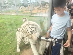 -西霞口神雕山野生动物世界