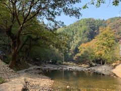 -水墨汀溪风景区