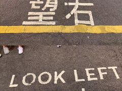 -香港皇家太平洋酒店