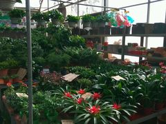 -秦美花卉(天朗·莱茵小城2期店)