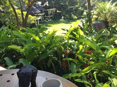 -四季酒店下午茶