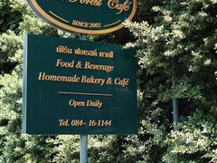 -Fern Forest Cafe