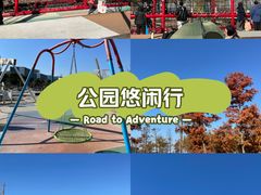 -春花秋色城市公园