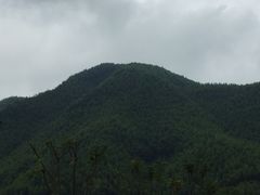 -安吉龙王山峡谷漂流