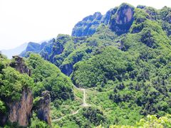 -王莽岭风景区