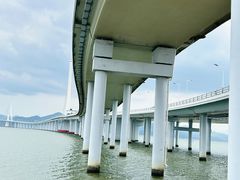 -深圳湾公园(南山区)