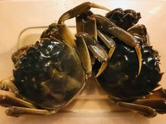 -王宝和酒家(黄浦店)