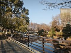 -圩墩遗址公园