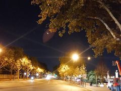 -埃菲尔铁塔