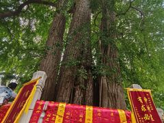 -潭柘寺景区